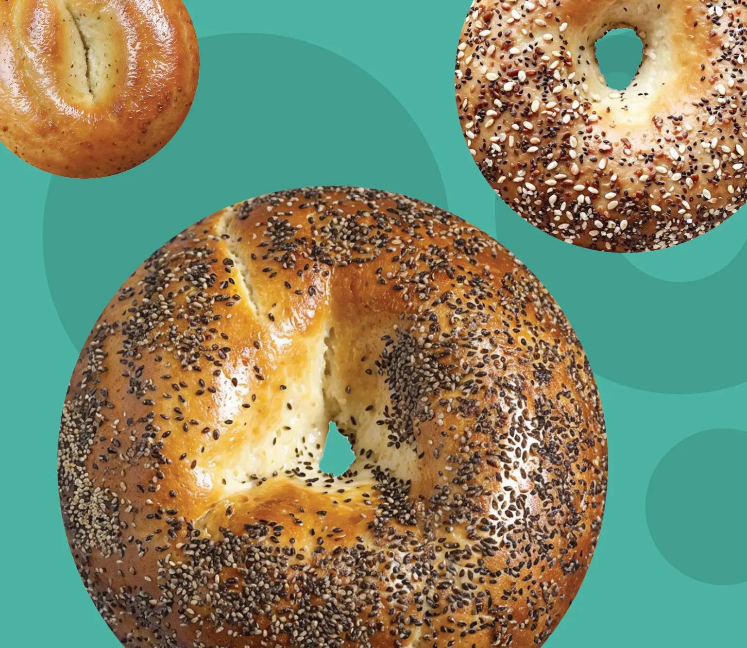 Three artisan bagels with poppy seed, everything, and plain toppings arranged on a vibrant turquoise background